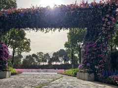 -春花秋色城市公园