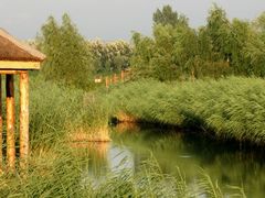 -白渔泡湿地公园