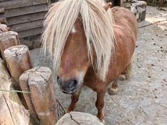 -上海野生动物园