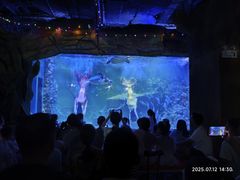 -嘉兴海底世界