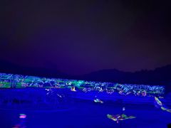 -鼎盛王朝康熙大典实景演出