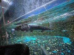-海合安武汉极地海洋公园