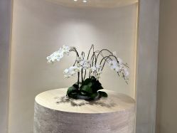体验前-针美汇欧邦医疗美容