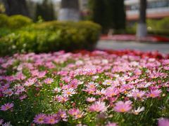 -棒棰岛宾馆景区