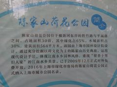-陈家山荷花公园