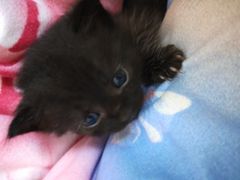 -仓库烤肉(绿园店)