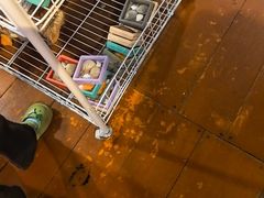 -蓝湾碧波·老字号·疍家非遗海上餐厅