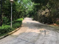 -小南山公园