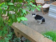 -厦门良筑精品酒店(厦门中山路店)