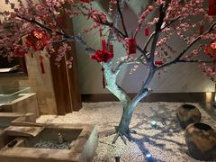-爱乐国际温泉水疗会
