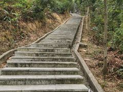 -火炉山森林公园