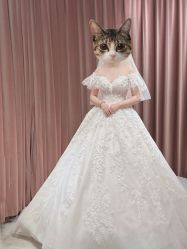 -PAI婚纱礼服设计馆【大牌租赁/高级定制】