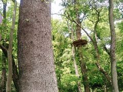 -WeLope紫金山探险公园