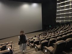 -金逸影城(影视中心IMAX店)