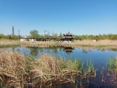 -水西公园