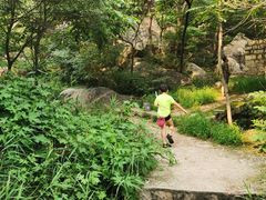 -碓臼峪自然风景区