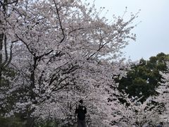 -南山植物园