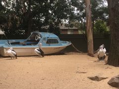 -费瑟代尔野生动物园