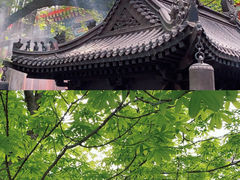 -八大处公园
