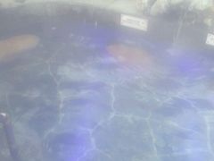 picture-南京汤山紫清湖生态旅游温泉度假区