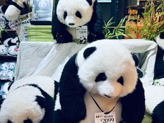-轩客会(熊猫书店)