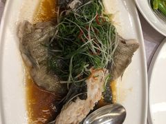-湖影中餐厅·南京金茂威斯汀大酒店