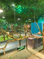 -酷嗒动物文化乐园(cutezoo西溪乐天城店)