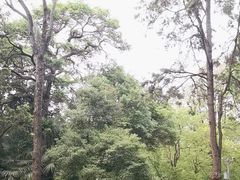 -昆明市金殿名胜区