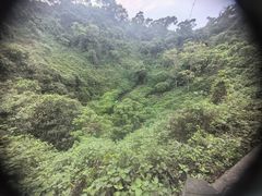-海口火山口国家地质公园