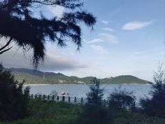 -宋井风景区