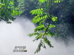 -北京西山国家森林公园