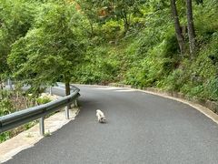 -东天目山风景区