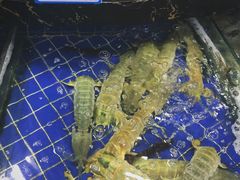 水产区-三亚新鸿港水果一级批发市场