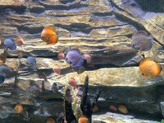 -多彩贵州城极地海洋世界