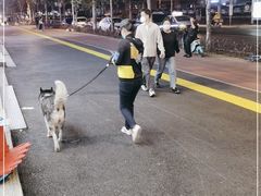 -合易泓烤肉•首创生椰大油边(宁山路店)