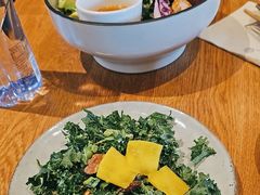 -Wagas沃歌斯(汇智店)