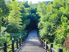 -树山生态村