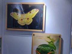 -上海昆虫博物馆