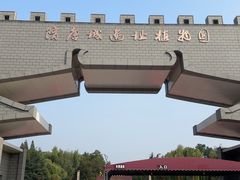 -洛阳市隋唐城遗址植物园
