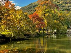 -西山人家·传统苏帮菜·家宴(木渎店)