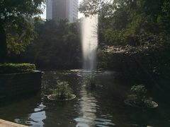 -九龙公园