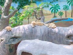 -上海野生动物园