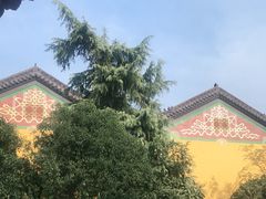 -宝通禅寺