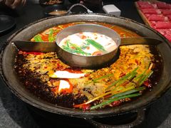 -渝涯重庆豆花老火锅(中赢国际店)