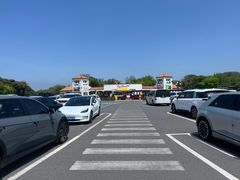 -济州森林小火车生态公园