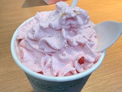 -雾与山茶(大禹城店)