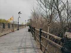 -开封城墙景区