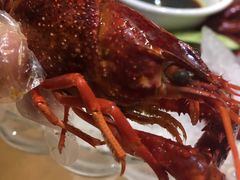 -怪怪龙虾·澳洲蓝龙王·深夜食堂(惊驾路店)