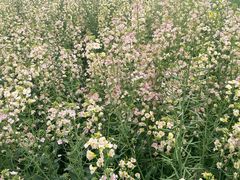 -中国天府农业博览园