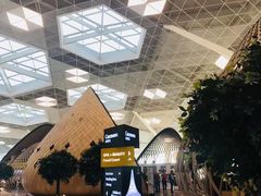 -盖达尔·阿利耶夫国际机场